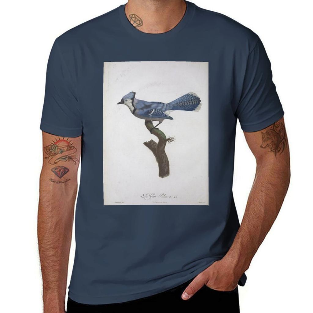 Natural history of birds of paradise T-Shirt Plus Size Quick Dry Sports Tee