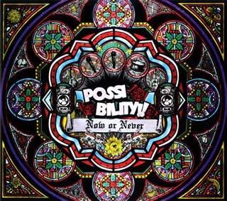 

CD POSSIBILITY - Now or Never AKCY58006 Japan Music Others Used