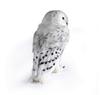Harry Potter Hedwig Plush Owl Doll [Parallel Import]