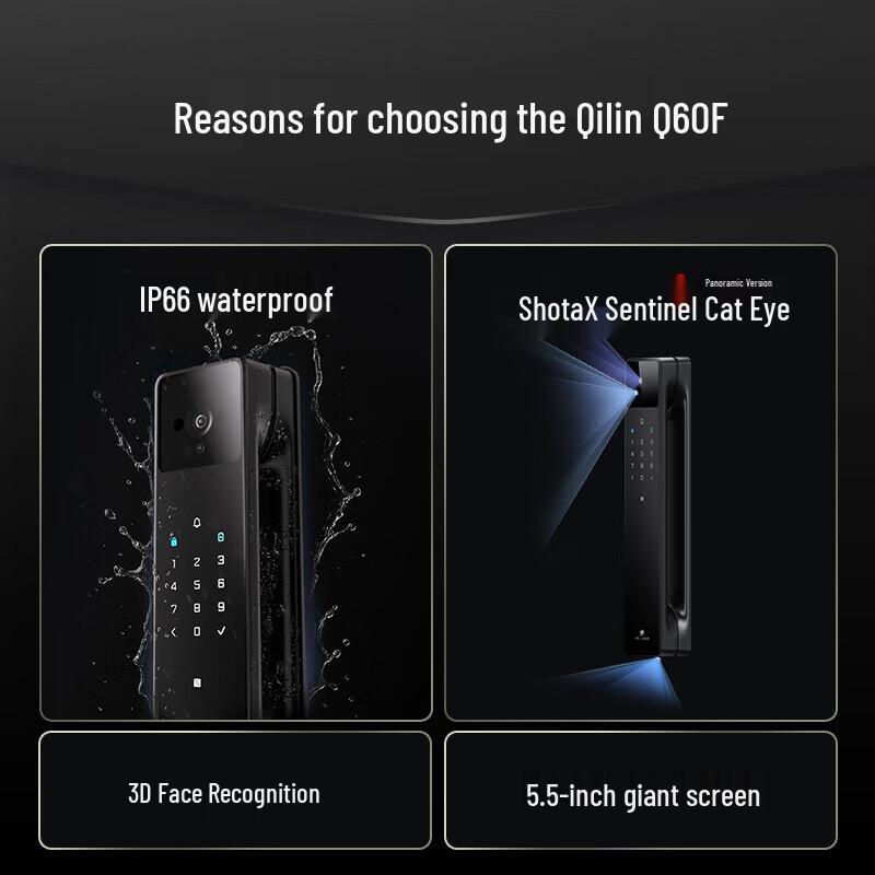 DESMAN Q60F 3D Face Recognition Smart Door Lock