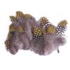 Yousheng 50Pcs Guineahen Feathers Natural Chicken Tail Feathers Bright Colors 4.5-10cm Feathers for Crafts DIY Earrings Dream Catcher Wedding Easter