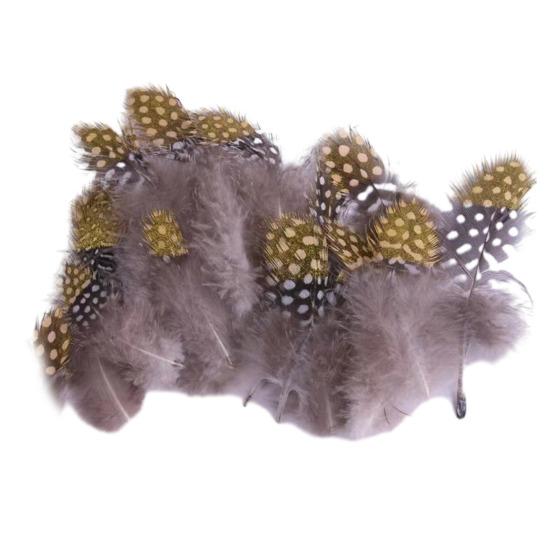 

50Pcs Guineahen Feathers Natural Chicken Tail Feathers Bright Colors 4.5-10cm Feathers for Crafts DIY Earrings Dream Catcher Wedding Easter