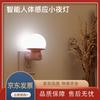 Human Motion Sensor Night Light