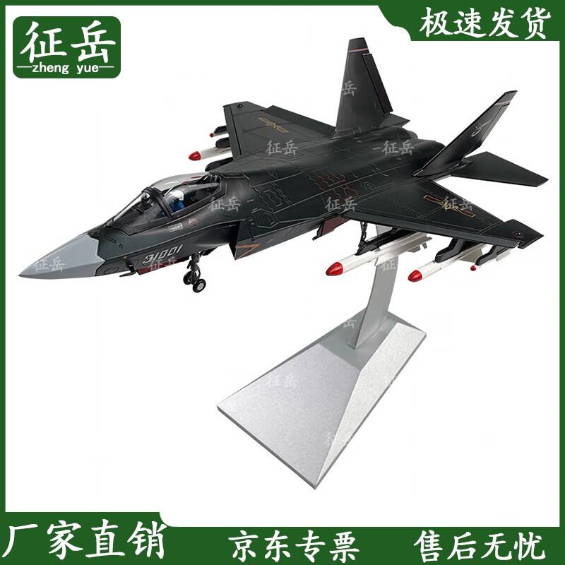 J-31 Fighter Jet Model 1:48 Scale