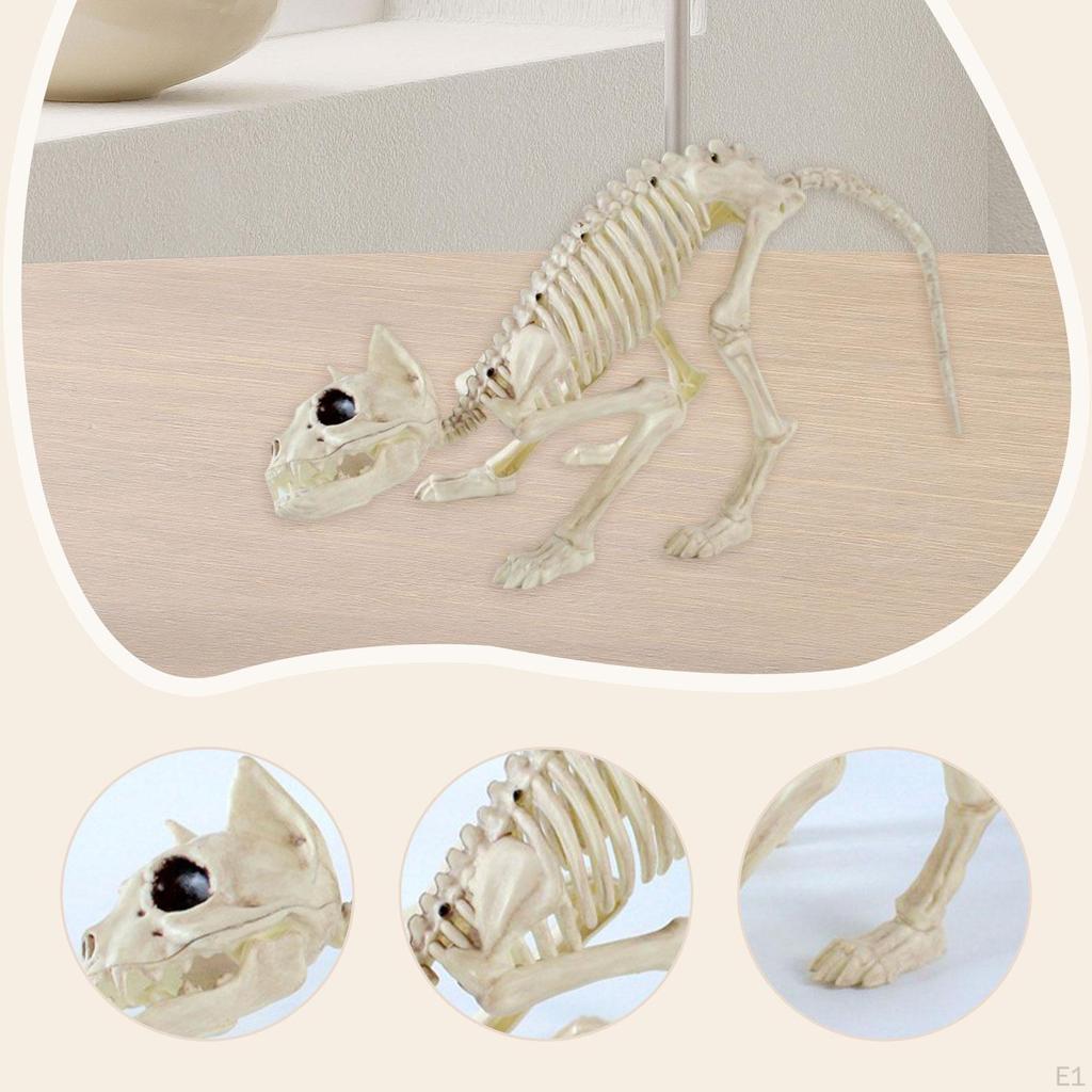 Σκελετός Γάτας Ζώο Αποκριάτικη Διακόσμηση Ρεαλιστικά Κόκαλα Στοιχειωτικά Αξεσουάρ Πάρτι για