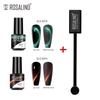 ROSALIN 3PCS Cat's Eye Gel Nail Polish With Magnet Tool Semi Permanent UV Gel Polish Magnetic Nail Art Design