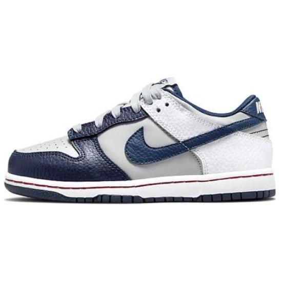 Nike Dunk Low EMB X NBA 75th Anniversary Nets DC9564-001