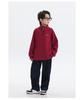 Boys' 2025 Winter Fleece-Lined Half-Zip Pullover Hoodie for Medium and Older Children