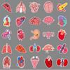 50 Human Organ Graffiti Stickers Cartoon Stickers Decorative Mobile Phone Case Suitcase Stickers