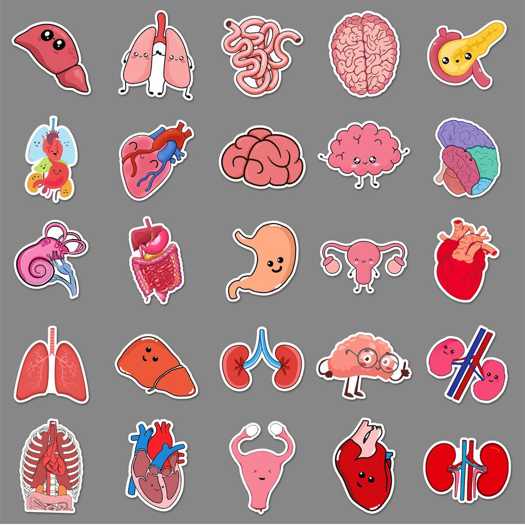 50 Human Organ Graffiti Stickers Cartoon Stickers Decorative Mobile Phone Case Suitcase Stickers