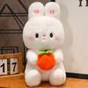 Rabbit Doll Plush Birthday Gift Rabbit Toy Persimmon Luck Decoration Animal