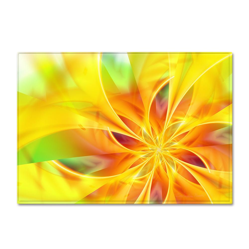 

Cool Flower Pattern Carpet Living Room Kitchen Foyer Floor Mat Pattern Can Be 80*120cm
