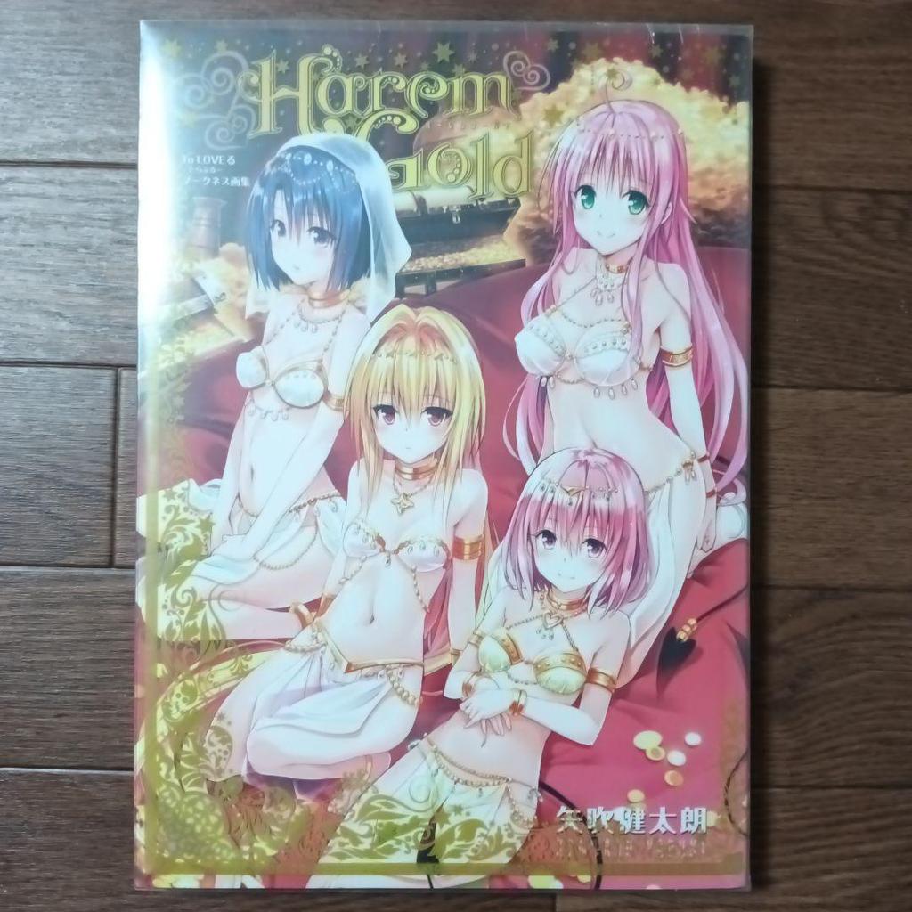[USED] To Love-Ru Darkness Art Book Harem Gold by Kentaro Yabuki