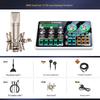 Professional Live Stream Sound Card & Microphone Set