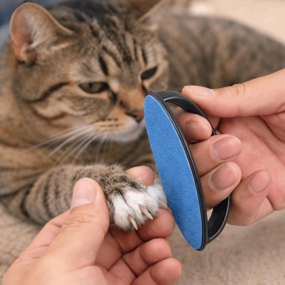 Replaceable Sandpaper Dog Nail File Board Portable Efficient Pet Scratch Pad Wear Resistant Puppy Nail File