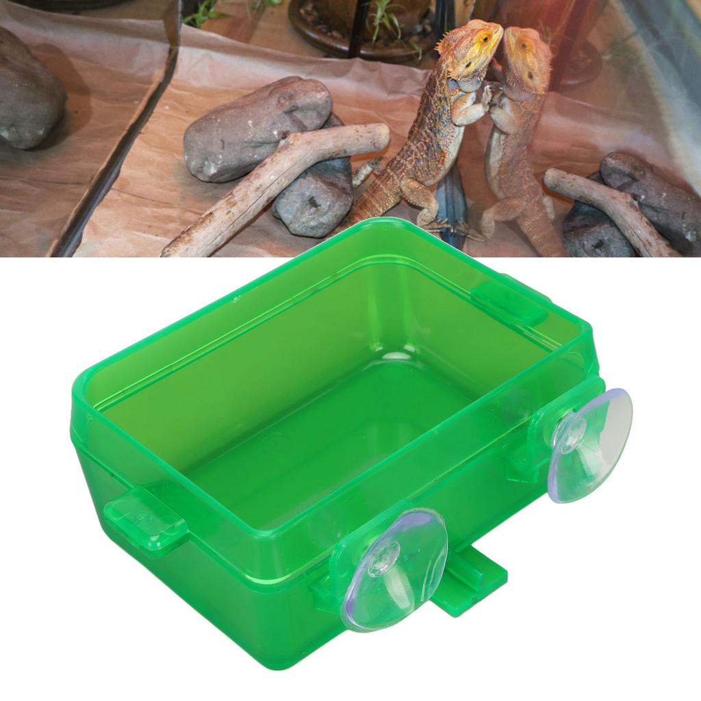 Suction Cup Reptile Feeder Escape Proof Reptile Feeding Food Water Bowl for Bearded Dragon Green