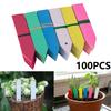 100PCS Plant Sign Tags Markers for Plants Garden Labels Identification Plant Cards Garden Marker ZWBQP04