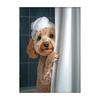 Cute Shower Dog Bathroom Decor Poster Dog in Bathtub Print Animal Murals Canvas  for Home Decor Dog Lover Gifts