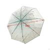 Clear Bladder Screen, Transparent Umbrella, Sweet, Light Women's Dome Foldable Umbrella for