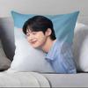 B-B-Byeon W-W-Woo-seok Pillow Case Pillowcase Soft Skin Friendly & Comfortable With A Hidden Zipper