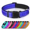 Hochreflektierendes Leichtes Haustier Hundehalsband Leine Set Benutzerdefiniert Verstellbar Stilvoll OEM Design Luxus Stil Kleine/Mittlere Rassen Kostenlos