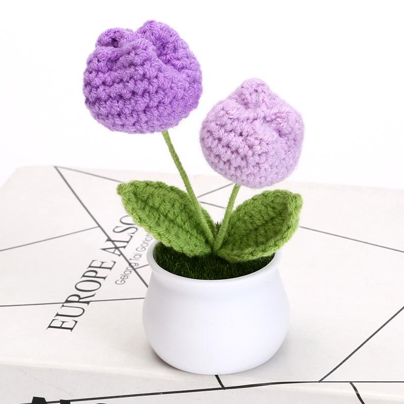 Hand-Woven Wool Tulip Plant: Creative Desktop Ornament & Graduation Gift