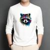 Thermal Patches Raccoon Cute Stripes Fashion Jeans Diy Accessory Sticker Heat Press Appliqued Thermo Transfer Animal Series