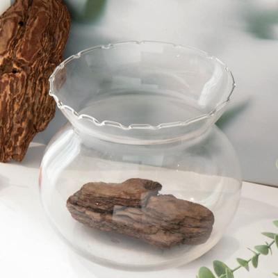 [Pet] Large Interior Fish Tank