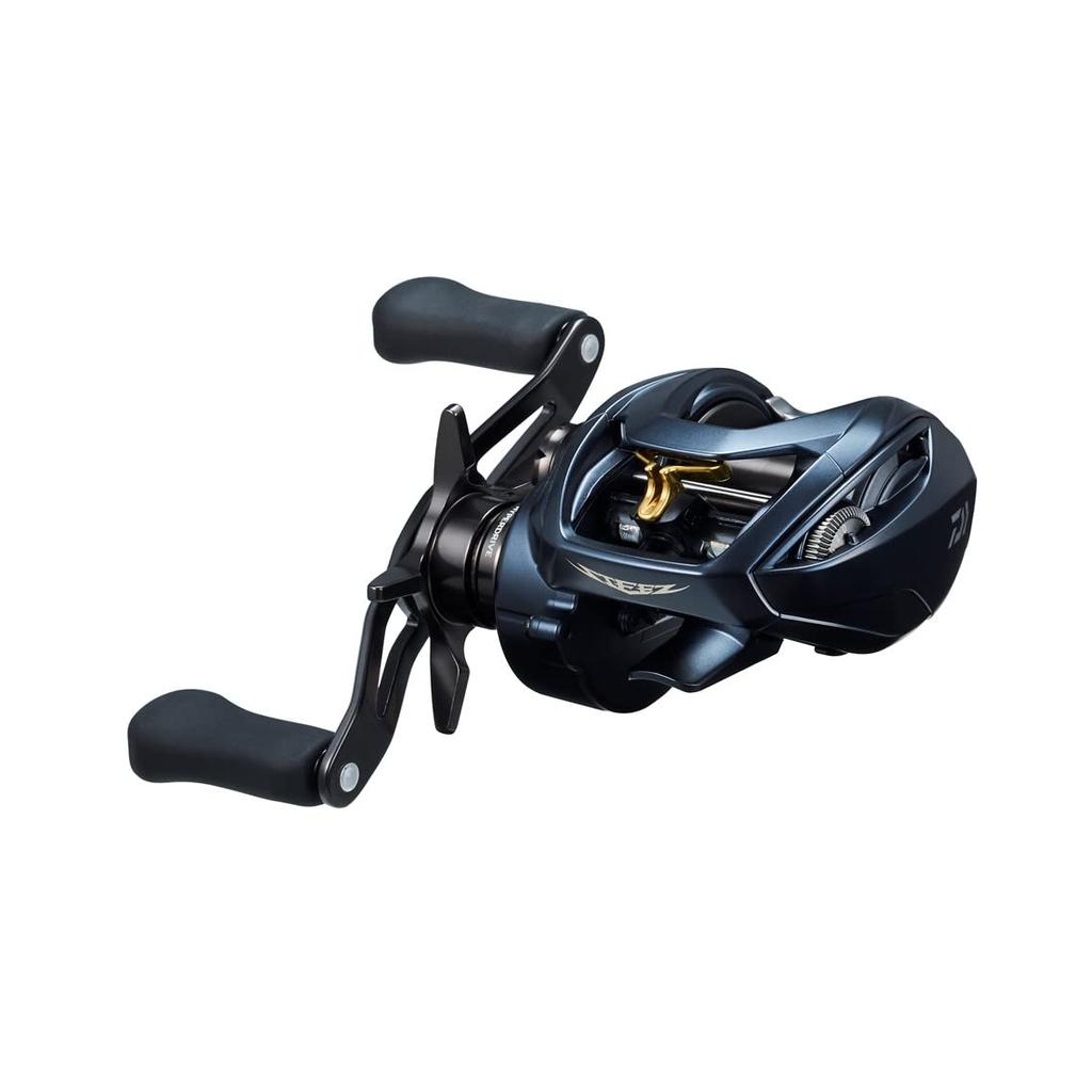 Daiwa Baitcasting Rolle STEEZ AII TW 1000H Modell 2022 (DAIWA)