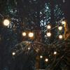 2.5M 10 Bulbs Led Garland Fairy String Lights White Wedding Christmas Decoration Outdoor For Holiday Party Street Camp Decor