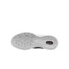 Nike Air Pegasus 2005 SE 'Platinum Tint Metallic' IB2983-001