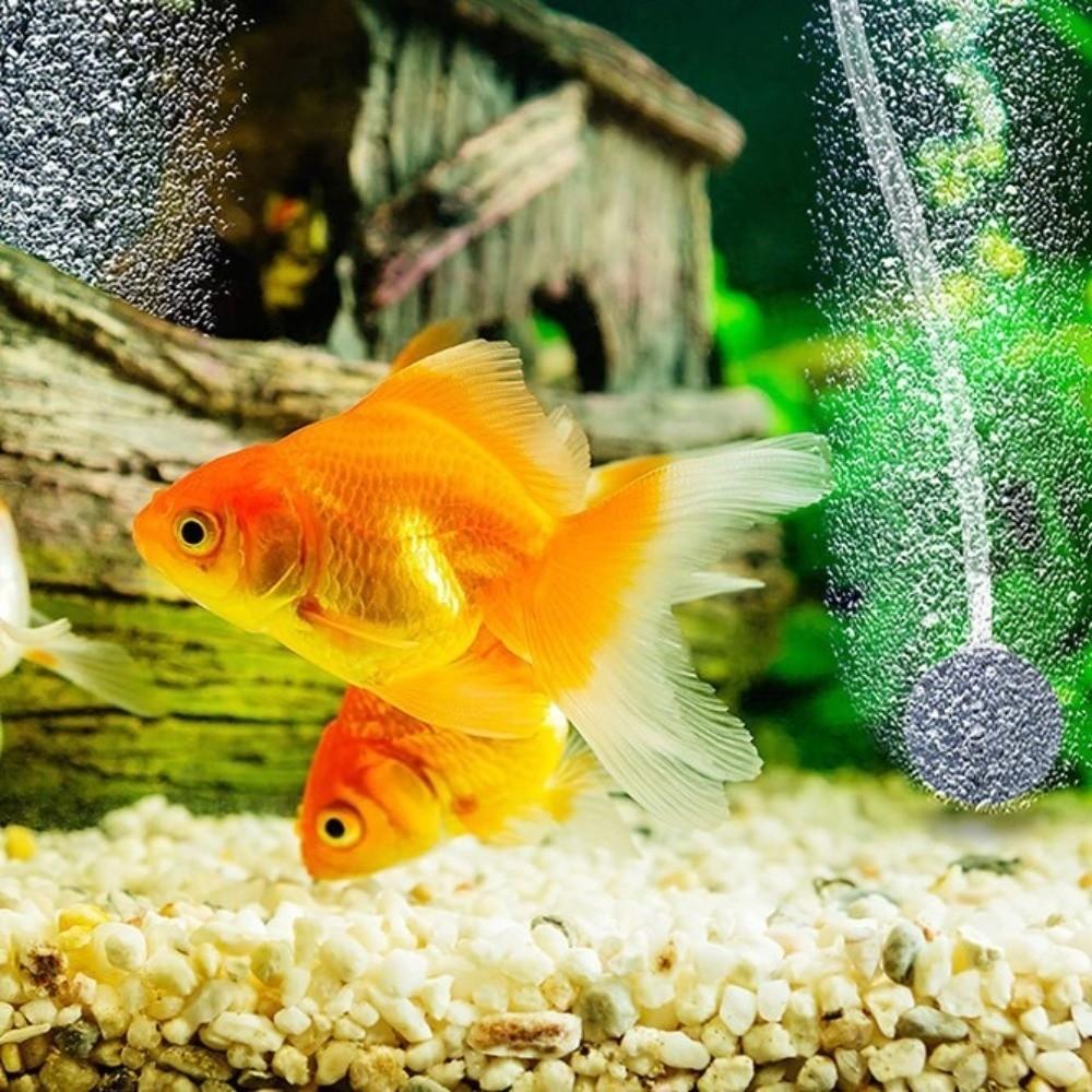 High Efficiency Solar Air Pump Low Noise Oxygen Pump Fishing Aerator Pond Aerator Fish Tank
