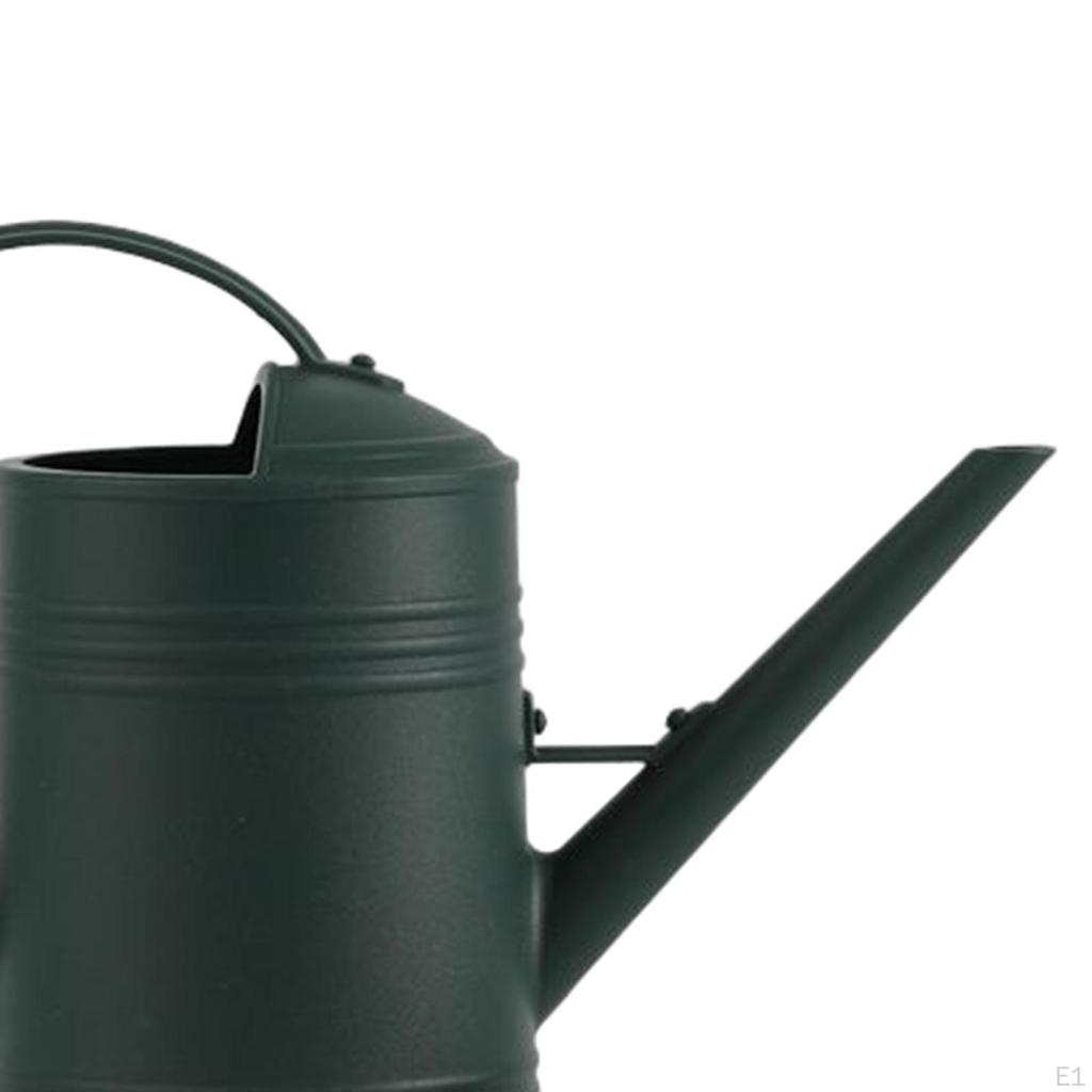 2000ml Watering Can Decorative Long Nozzle Multipurpose with Detachable Spray Head Large Capacity