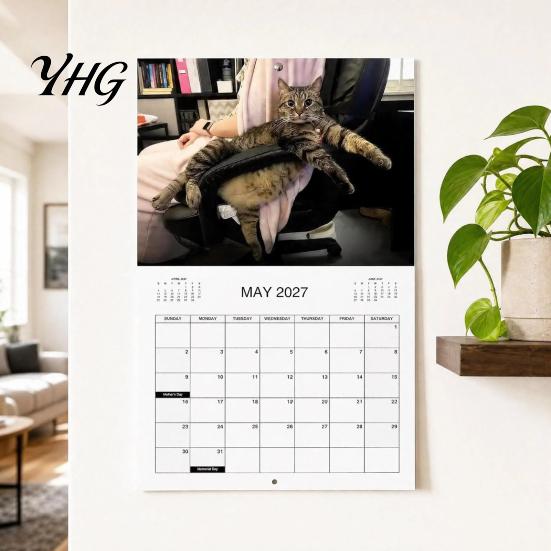 Humorous Animal Calendar 2027 Cat Wall Calendar, January - December 2027, Funny Office with Photos 12 Months Hanging Planner for Home Decor