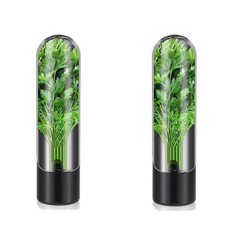 Herb Storage Box With Moisturizing Base And Ventilation Function Bpa-Free Plastic Suitable For Refrigerator Kitchen Gadgets