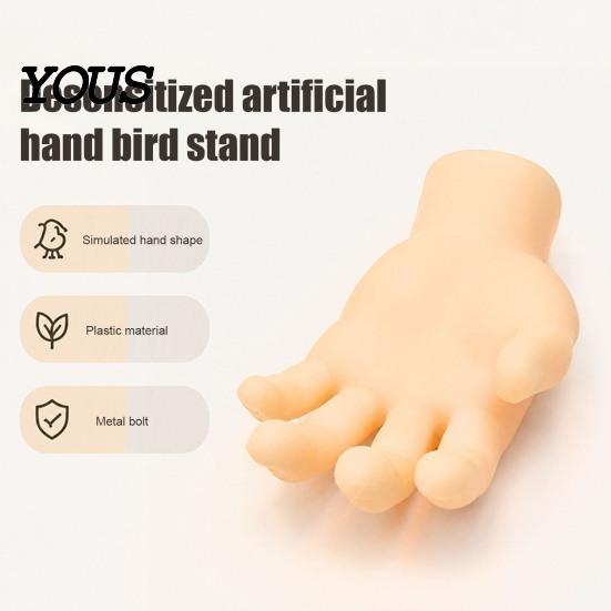 Cockatiel Resting Platform Hand-Shaped Parrot Perch, Realistic Hand Stand with Screw Fastener, Bird Training Perch for Birds Cage Budgie