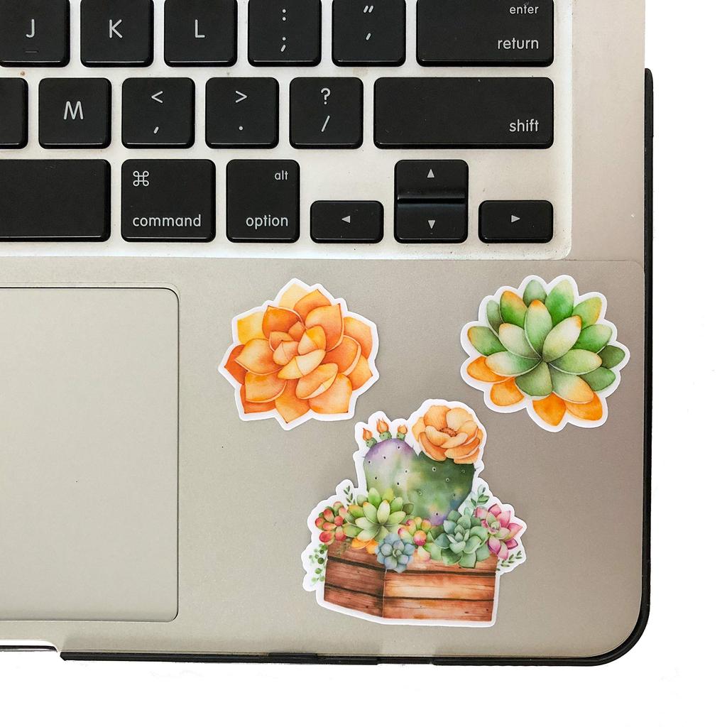 Navy Peony Succulent Watercolor Stickers and Stickers for Water and Journals (21 Sheets) - Cute, Water-Resistant, Long-Lasting Bottles, Laptops,