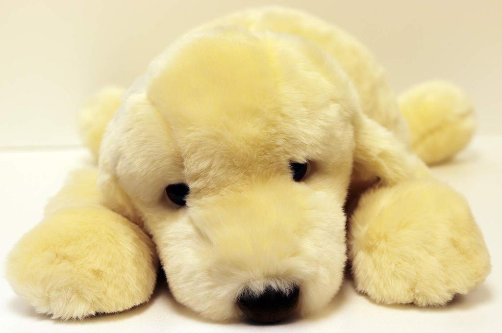 Yoshitoku Labrador Retriever Plush Large Toy, White,
