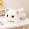 20cm Kawaii Big Eyes Cat Plush Toy Lying Cartoon Animal Black White Siamese Cat Sleeping Companion Gift