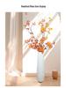 Large Modern Nordic Ceramic Floor Vase: Black & White Minimalist Design for Dried Flowers and French Arrangements In Living Room