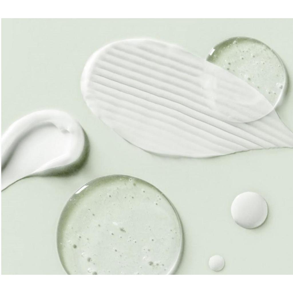 [Tonymoly] The Chok Chok Green Tea Watery Cream 100ml