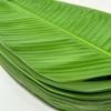 5Pcs Heat Resistant Artificial Banana Leaves Coasters Decor Waterproof Faux Lotus Leaf Anti Skid Simulation Table Mats
