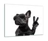 GLASS PROTECTIVE PLATE FOR STOVE 60x52 DOG