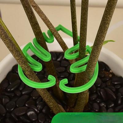 Bambusowy Stelaż Specjalny dla Roślin z Podparciem Żółwim Grzbietem, Plastikowa Rama Podpierająca Zapobiegająca Pokładaniu się, Pomaga we Wzroście Pionowym Narzędzie do Ogrodnictwa i Mocowania