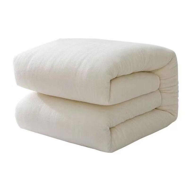 Xinjiang Long-Staple Cotton Winter Quilt