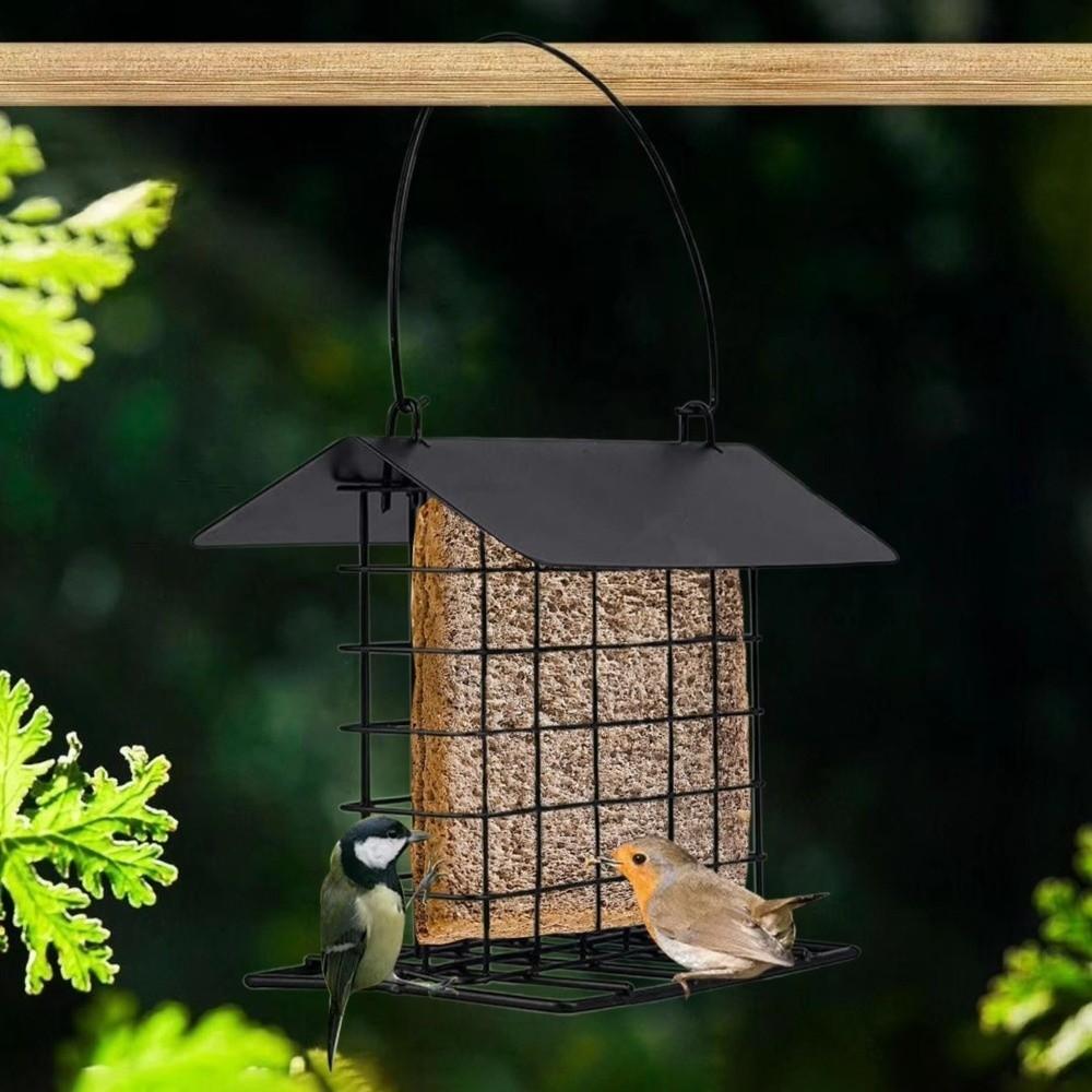 Rust Resistant Bird Feeding Station Weatherproof Suet Holder Food Dispenser  Backyard