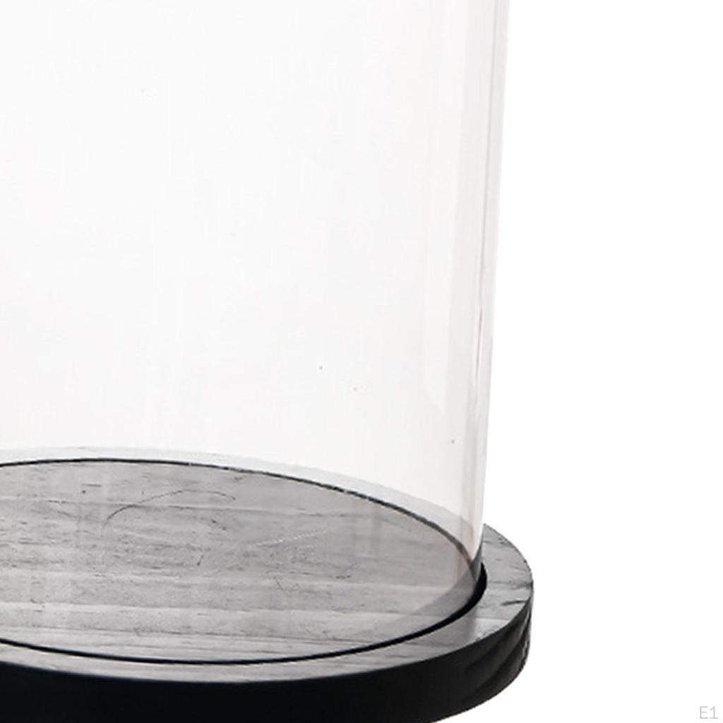 Glass Dome Showcase for Delicate Treasures