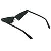 Sunglasses Anime Collaboration UV Protection Black with Maintenance Kit