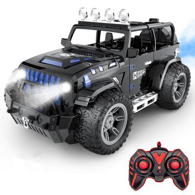 Remote Control Car for Kids, 1/16 Scale, Off-Road, 70-Minute Runtime, LED Lights, 2.4GHz USB Charging, Boys' Gift, 9166-9