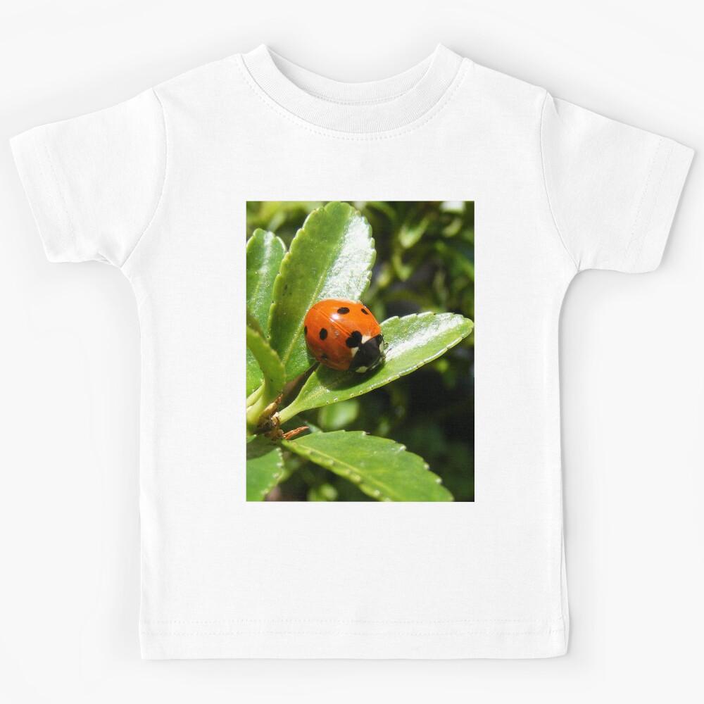 ladybird Kids T-Shirt 140